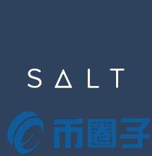 SALT币未来前景怎么样？SALT币亮点分析