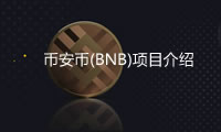 币安币(BNB)币安平台币项目介绍