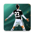 足球杯2023游戏中文手机版（Football Cup 2023）