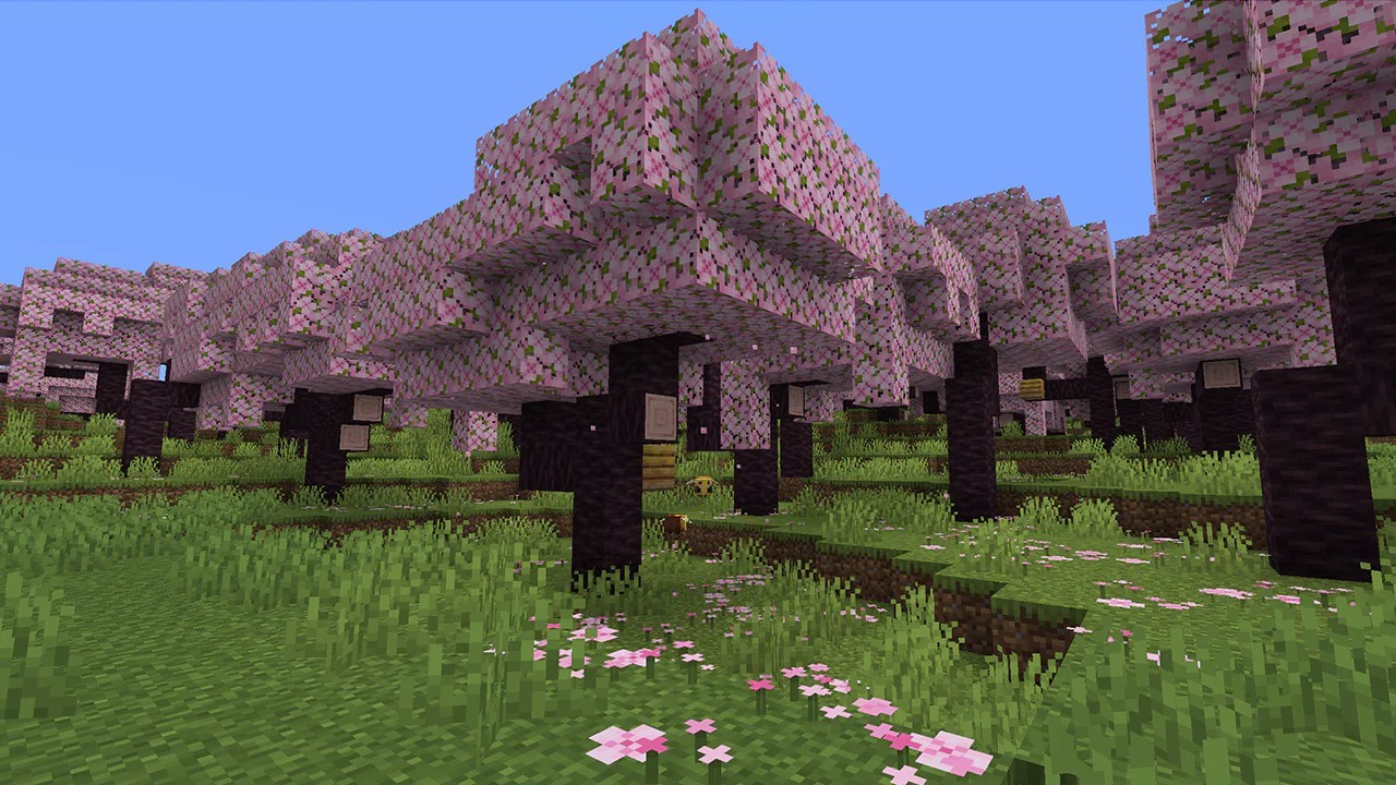 《我的世界》1.20版本将加入樱花生物群系 画面唯美