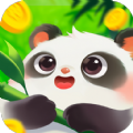 好运熊猫app下载安装最新版