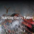 starting harry potter游戏中文手机版