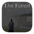兰德里纳河的森林雨天游戏中文版